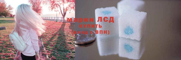 mdpv Вяземский